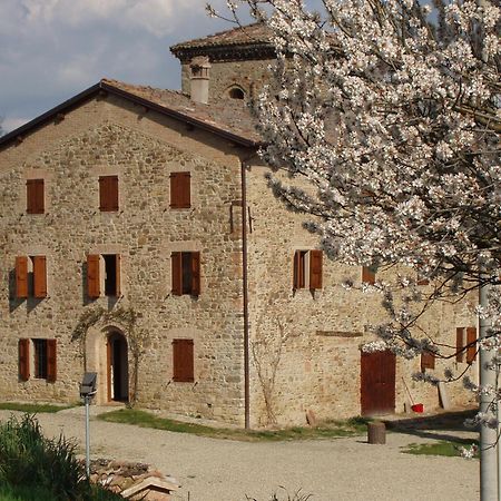 Agriturismo Ca' Bertu' Zappolino Dış mekan fotoğraf