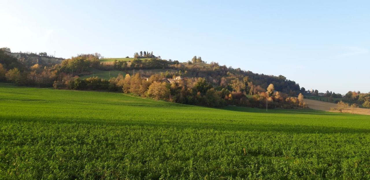 Agriturismo Ca' Bertu' Zappolino Dış mekan fotoğraf