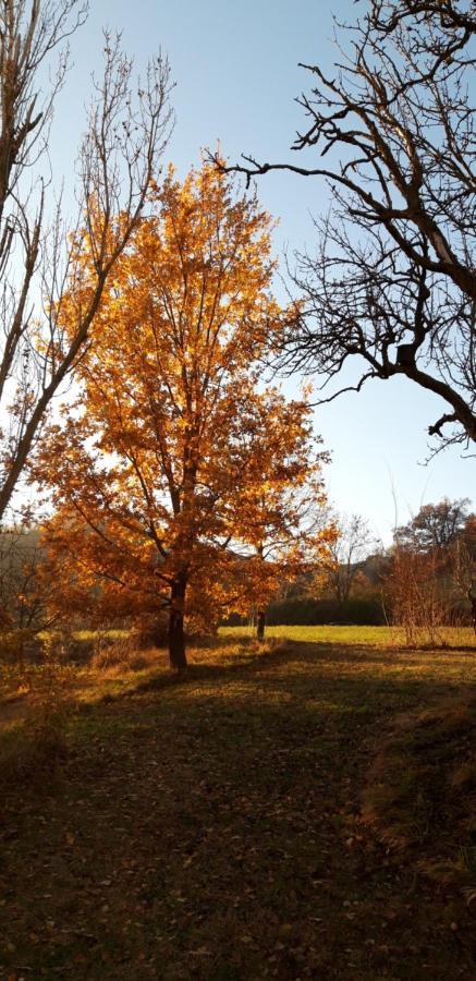 Agriturismo Ca' Bertu' Zappolino Dış mekan fotoğraf
